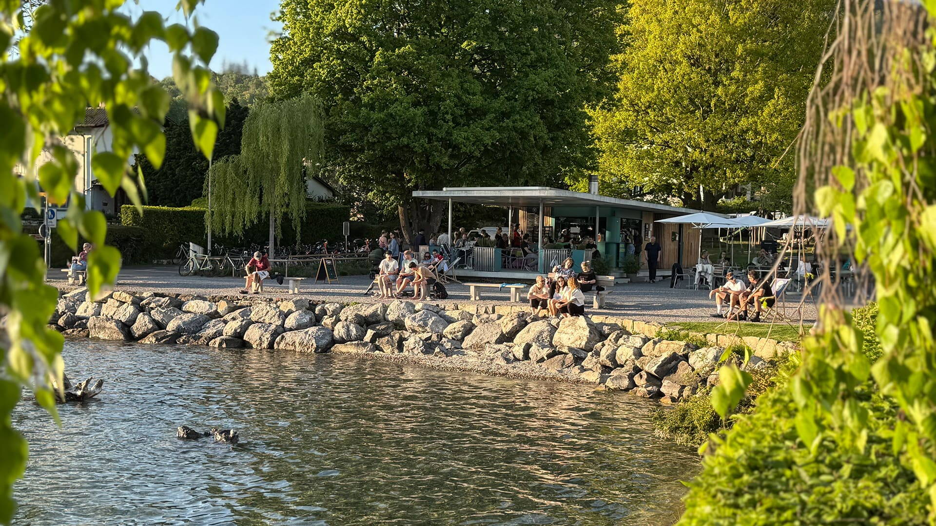 buvette.jpg buvette.jpg